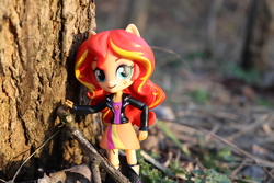 Size: 6000x4000 | Tagged: safe, artist:artofmagicpoland, sunset shimmer, equestria girls, g4, doll, equestria girls minis, female, irl, photo, sun, sunset, sunshine shimmer, toy