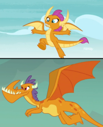 Size: 650x800 | Tagged: safe, edit, screencap, billy, smolder, dragon, g4, gauntlet of fire, school daze, background dragon, discovery family logo, dragoness, female, flying, spread wings, teenaged dragon, wings