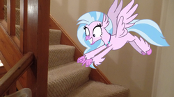 Size: 1024x575 | Tagged: safe, artist:jamesawilliams1996, silverstream, classical hippogriff, hippogriff, g4, school daze, excited, feathered fetlocks, female, irl, jewelry, necklace, photo, pointing, ponies in real life, solo, stairs, that hippogriff sure does love stairs