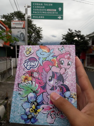 Size: 4128x3096 | Tagged: safe, pinkie pie, rainbow dash, spot, twilight sparkle, alicorn, pony, g4, afternoon, book, diary, indonesia, irl, merchandise, my little pony logo, photo, road, road sign, twilight sparkle (alicorn)