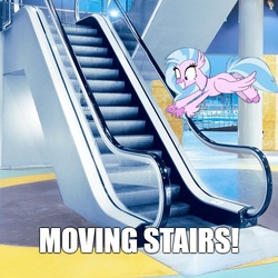Size: 800x800 | Tagged: safe, edit, edited screencap, screencap, silverstream, classical hippogriff, hippogriff, g4, school daze, diastreamies, escalator, female, image macro, irl, meme, photo, ponies in real life, solo, that hippogriff sure does love stairs