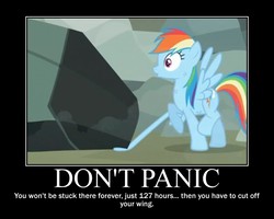 Size: 750x600 | Tagged: safe, artist:crossoverprincess, edit, edited screencap, screencap, rainbow dash, pegasus, pony, g4, may the best pet win, season 2, 127 hours, boulder, female, motivational poster, movie reference, rock, solo, trapped