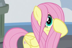 Size: 558x378 | Tagged: safe, screencap, fluttershy, pegasus, pony, g4, school daze, cropped, cute, female, hair over one eye, mare, shyabetes, solo