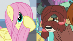Size: 3643x2048 | Tagged: safe, screencap, fluttershy, yona, pegasus, pony, yak, g4, school daze, cropped, cute, female, hair over one eye, high res, mare, shyabetes, smiling, yonadorable