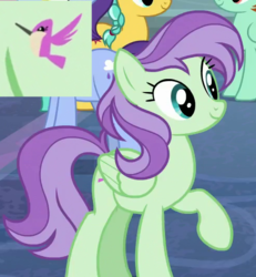 Size: 490x530 | Tagged: safe, screencap, citrine spark, fire quacker, peppermint goldylinks, violet twirl, pegasus, pony, g4, school daze, background pony, character named in the comments, cropped, cutie mark, female, friendship student, mare, name suggestion in the comments, raised hoof, solo focus
