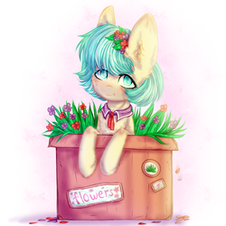 Size: 2000x2000 | Tagged: safe, artist:zefirka, coco pommel, earth pony, pony, g4, box, cocobetes, cute, female, flower, flower in hair, high res, looking at you, mare, ponies in a box, pony in a box, smiling, solo