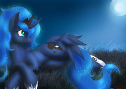 Size: 1920x1357 | Tagged: safe, artist:definisher, princess luna, alicorn, pony, g4, crown, curved horn, female, full moon, grass, horn, jewelry, looking back, mare, moon, night, regalia, solo