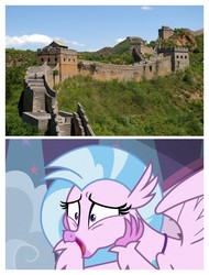 Size: 3106x4096 | Tagged: safe, silverstream, classical hippogriff, hippogriff, g4, school daze, china, diastreamies, great wall of china, that hippogriff sure does love stairs
