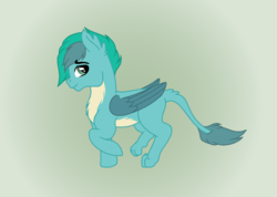 Size: 906x644 | Tagged: safe, artist:adevonfeather, oc, oc only, oc:gusty, g4, season 8, interspecies offspring, leonine tail, magical gay spawn, offspring, parent:gallus, parent:sandbar, parents:gallbar, simple background, solo