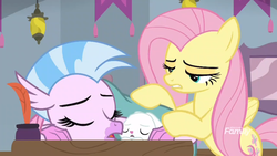 Size: 1600x900 | Tagged: safe, screencap, angel bunny, fluttershy, silverstream, classical hippogriff, hippogriff, pegasus, pony, rabbit, g4, school daze, blanket, desk, discovery family logo, quill, school of friendship, sleeping