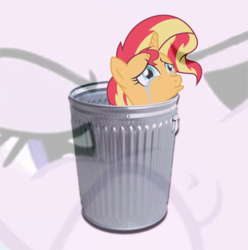 Size: 728x734 | Tagged: safe, starlight glimmer, sunset shimmer, pony, unicorn, equestria girls, g4, abuse, background pony strikes again, boop, crying, downvote bait, exploitable meme, female, glimmerposting, into the trash it goes, mare, meme, op is a duck, op is trying to start shit, op isn't even trying anymore, self-boop, shimmerbuse, sunset shimmer's trash can, sunset vs starlight debate, trash can, your waifu is trash