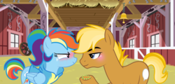 Size: 2412x1160 | Tagged: safe, artist:starfalldawn, quibble pants, rainbow dash, pony, g4, barn, blushing, clothes, duo, engagement ring, female, glowpaz, hoodie, male, natural hair color, ponytail, ship:quibbledash, shipping, straight