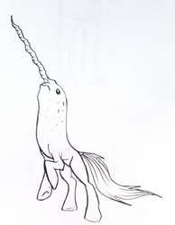 Size: 2514x3240 | Tagged: safe, artist:smirk, hybrid, narwhal, pony, unicorn, high res, majestic as fuck, not salmon, rearing, simple background, sketch, underhoof, wat, weird, white background