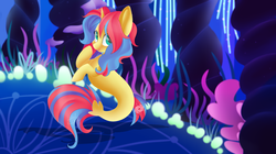 Size: 5344x3000 | Tagged: safe, artist:beashay, oc, oc only, oc:stormfall drizzle, seapony (g4), cute, female, seaponified, solo, species swap, underwater
