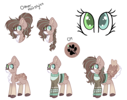 Size: 1024x808 | Tagged: safe, artist:mintoria, oc, oc only, oc:mint, earth pony, pony, augmented tail, clothes, female, mare, reference sheet, simple background, solo, sweater, transparent background