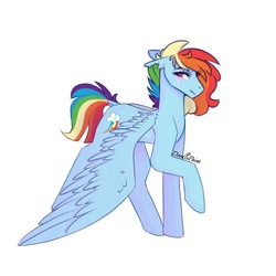 Size: 1024x1024 | Tagged: safe, artist:doodlepaintdraws, rainbow dash, pegasus, pony, g4, female, mare, raised hoof, scar, short tail, signature, simple background, solo, torn ear, white background