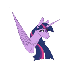 Size: 768x768 | Tagged: safe, artist:doodlepaintdraws, twilight sparkle, alicorn, pony, g4, bust, female, portrait, simple background, solo, twilight sparkle (alicorn), white background