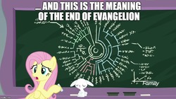 Size: 888x499 | Tagged: safe, edit, edited screencap, screencap, angel bunny, fluttershy, pegasus, pony, rabbit, g4, school daze, chalk, chalkboard, dexterous hooves, duo, end of evangelion, meme, neon genesis evangelion, otakushy, phylogenetic tree