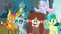 Size: 1280x720 | Tagged: safe, screencap, gallus, ocellus, sandbar, silverstream, smolder, yona, changedling, changeling, classical hippogriff, dragon, earth pony, griffon, hippogriff, pony, yak, g4, school daze, female, male, reaction image, stallion, student six