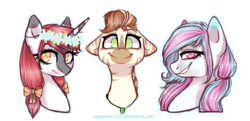 Size: 1024x495 | Tagged: safe, artist:chloeprice228, oc, oc only, pony, unicorn, zebra, bust, floral head wreath, flower, looking at you, portrait, simple background, transparent background, trio, zebra oc