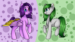 Size: 1024x575 | Tagged: safe, artist:chloeprice228, oc, oc only, earth pony, pegasus, pony, abstract background, duo, female, heterochromia, mare, raised hoof