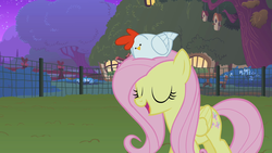 Size: 1280x720 | Tagged: safe, screencap, fluttershy, chicken, pegasus, pony, g4, stare master, bird house, eyes closed, fluttershy's cottage, sitting on head, twilight (astronomy)