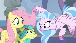 Size: 1280x720 | Tagged: safe, screencap, fluttershy, ocellus, silverstream, changedling, changeling, classical hippogriff, earth pony, hippogriff, pegasus, pony, school daze, disguise, disguised changeling, floppy ears, flying, pony ocellus, raised eyebrow, shy, trio