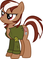 Size: 1800x2463 | Tagged: safe, artist:brisineo, oc, oc only, oc:roulette, earth pony, pony, angry, clothes, female, jacket, simple background, solo, transparent background, vector