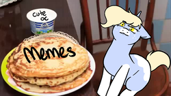 Size: 1280x720 | Tagged: safe, artist:/d/non, derpibooru exclusive, oc, oc:nootaz, pony, unicorn, blini, kot blini, looking at you, meme, ponified, ponified animal photo, sour cream