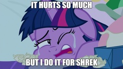 Size: 888x499 | Tagged: safe, edit, edited screencap, screencap, twilight sparkle, alicorn, pony, g4, school daze, bed, crying, floppy ears, image macro, implied shrek, meme, pillow, shrek, shrek is love shrek is life, tissue, twilight sparkle (alicorn)