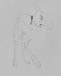 Size: 1223x1529 | Tagged: safe, artist:joestick, pom (tfh), lamb, sheep, them's fightin' herds, community related, cute, female, pencil drawing, solo, traditional art