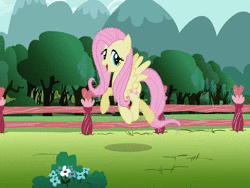Size: 800x600 | Tagged: safe, screencap, fluttershy, pony, g4, may the best pet win, animated, female, loop, no sound, solo, webm