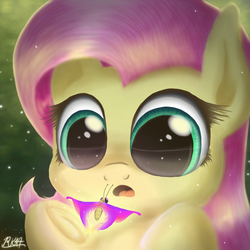 Size: 1500x1500 | Tagged: safe, artist:phoenixrk49, fluttershy, butterfly, pegasus, pony, g4, amazed, bust, cute, female, looking at something, mare, open mouth, portrait, shyabetes, solo, underhoof
