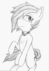 Size: 904x1315 | Tagged: safe, artist:spackle, derpibooru exclusive, oc, oc only, oc:mystic blare, earth pony, pony, bell, bell collar, collar, femboy, hair over one eye, male, monochrome, raised hoof, sitting, solo, stallion, traditional art