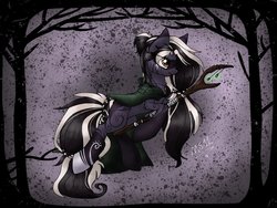 Size: 1024x768 | Tagged: safe, artist:melonseed11, oc, oc only, oc:midnight traveler, earth pony, pony, cloak, clothes, female, mare, solo, staff