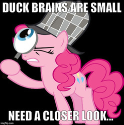 Size: 500x506 | Tagged: safe, pinkie pie, duck, earth pony, pony, g4, black background, image macro, imgflip, meme, op is a duck (reaction image), simple background