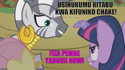 Size: 888x499 | Tagged: safe, edit, edited screencap, screencap, twilight sparkle, zecora, g4, angry, meme, swahili, translated in the comments