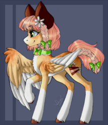 Size: 1650x1913 | Tagged: safe, artist:dustyonyx, oc, oc only, oc:baby cakes, pegasus, pony, bell, bell collar, bow, braid, chest fluff, coat markings, collar, colored ears, colored wings, facial markings, female, flower, flower in hair, hair bow, mare, pale belly, raised hoof, snip (coat marking), socks (coat markings), solo, two toned wings, unshorn fetlocks, wings