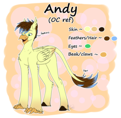 Size: 5032x4886 | Tagged: safe, artist:ggchristian, oc, oc only, oc:andy, classical hippogriff, hippogriff, absurd resolution, male, reference sheet, solo