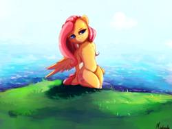 Size: 2000x1500 | Tagged: safe, artist:miokomata, fluttershy, pegasus, pony, g4, cloud, female, grass, mare, ocean, sky, solo, water, wings