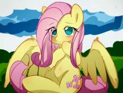 Size: 1440x1080 | Tagged: safe, artist:lan wu, fluttershy, pegasus, pony, g4, belly button, blushing, cute, eye clipping through hair, female, mare, no pupils, shy, shyabetes, sitting, solo, spread wings, wings