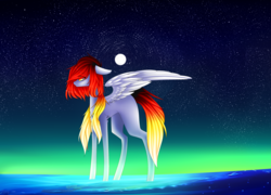 Size: 2500x1800 | Tagged: safe, artist:hyshyy, oc, oc only, oc:feather, pegasus, pony, female, macro, mare, moon, night, solo