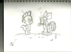 Size: 900x654 | Tagged: artist needed, source needed, safe, apple bloom, spike, dragon, pony, g4, basket, black and white, blushing, card, cute, female, filly, flower, grass, grayscale, heart, love, male, missing cutie mark, monochrome, notebook, oblivious, question mark, romantic, ship:spikebloom, shipping, straight, traditional art