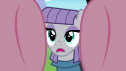 Size: 1280x720 | Tagged: safe, screencap, maud pie, pinkie pie, g4, the maud couple, offscreen character, pov