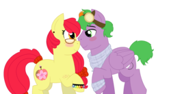 Size: 1024x561 | Tagged: safe, artist:strawberry-spritz, apple bloom, spike, earth pony, pegasus, pony, g4, alternate cutie mark, alternate hairstyle, blushing, bracelet, clothes, cute, female, freckles, glasses, goggles, jewelry, male, mare, older, older apple bloom, older spike, ponified, ponified spike, ribbon, scarf, ship:spikebloom, shipping, simple background, species swap, stallion, straight, transparent background