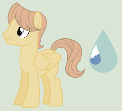 Size: 1024x937 | Tagged: safe, artist:cakewits, oc, oc only, oc:drop, pegasus, pony, male, offspring, parent:flitter, parent:warm front, simple background, solo, stallion