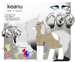 Size: 4000x3310 | Tagged: safe, artist:umiimou, oc, oc only, oc:keanu, earth pony, pony, female, mare, reference sheet, solo