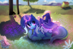 Size: 6000x4000 | Tagged: safe, artist:averageocporn, diamond tiara, trixie, earth pony, pony, unicorn, g4, clothes, duo, female, filly, hat, looking at you, magic, mare, sleeping, trixie's hat