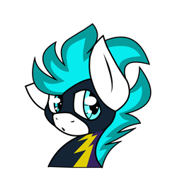 Size: 1024x1024 | Tagged: safe, artist:northwindsmlp, oc, oc:north winds, pony, bust, clothes, costume, male, portrait, shadowbolts costume, simple background, solo, stallion, white background