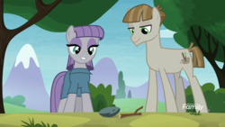 Size: 1920x1080 | Tagged: safe, screencap, boulder (g4), maud pie, mudbriar, twiggy, earth pony, pony, g4, the maud couple, discovery family logo, duo, female, male, mare, rock, ship:maudbriar, shipping, smiling, stallion, when he smiles, when she smiles